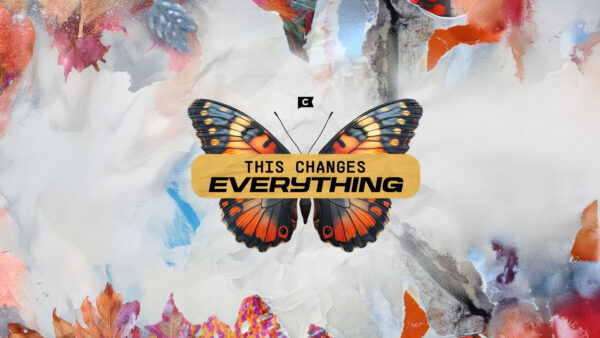 The Butterfly Effect Image