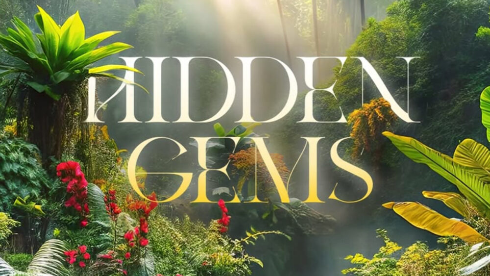 Hidden Gems